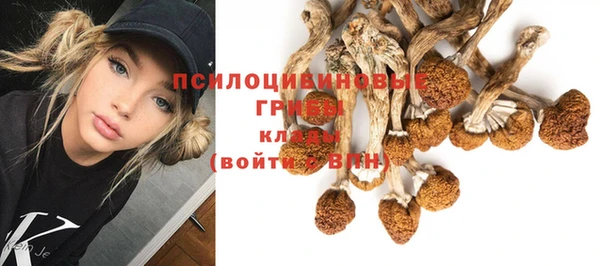 ешки Белокуриха